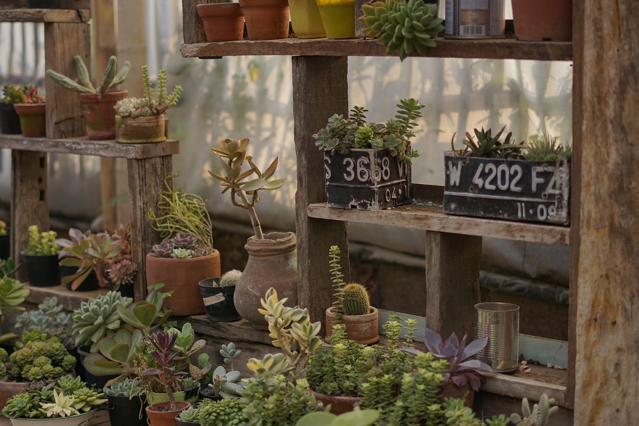 nature, cafe, natural, plants, shop, garden, pot, wood, brown nature, brown shopping, brown wood, brown garden, brown plant, brown shop, brown cafe, brown gardening, brown plants, brown natural, cafe, cafe, cafe, cafe, cafe